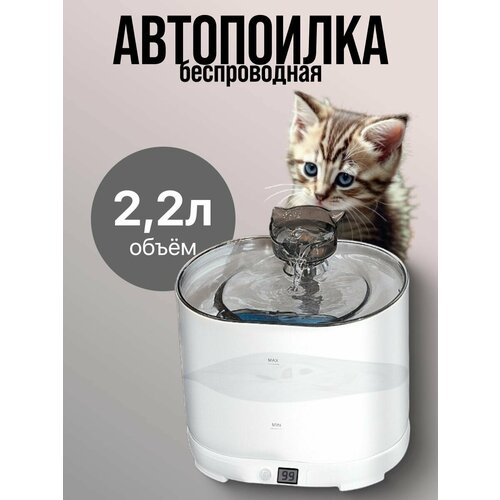 Беспроводная автопоилка для кошек и собак