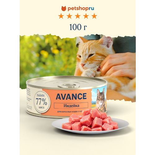 AVANCE holistic Консервы для взрослых кошек и котят с индейкой, 100 гр