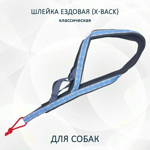 Шлейка ездовая totemica для собак X-Back, классическая "Голубая дымка" XS