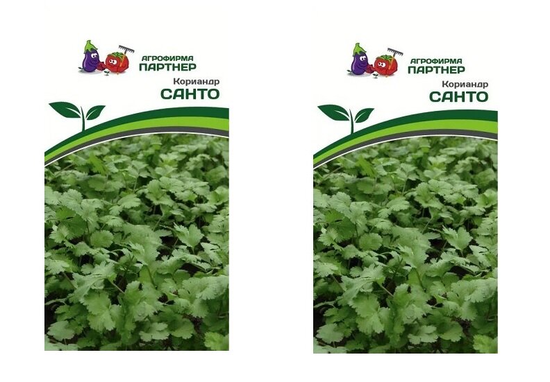 Кориандр САНТО (Партнер) 2 упаковки