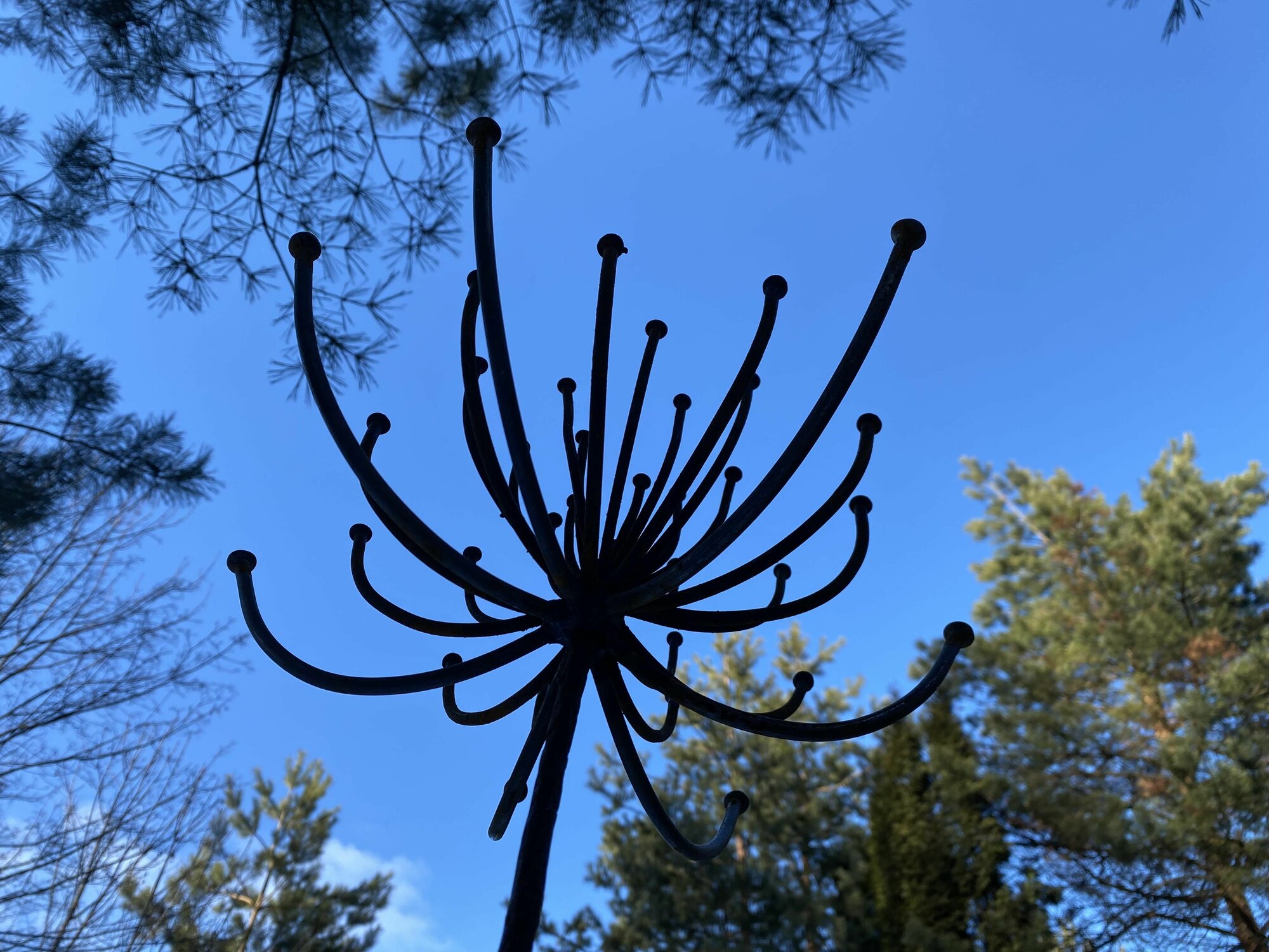 Стик для сада  Хризантема   сама нежность из коленных гвоздей