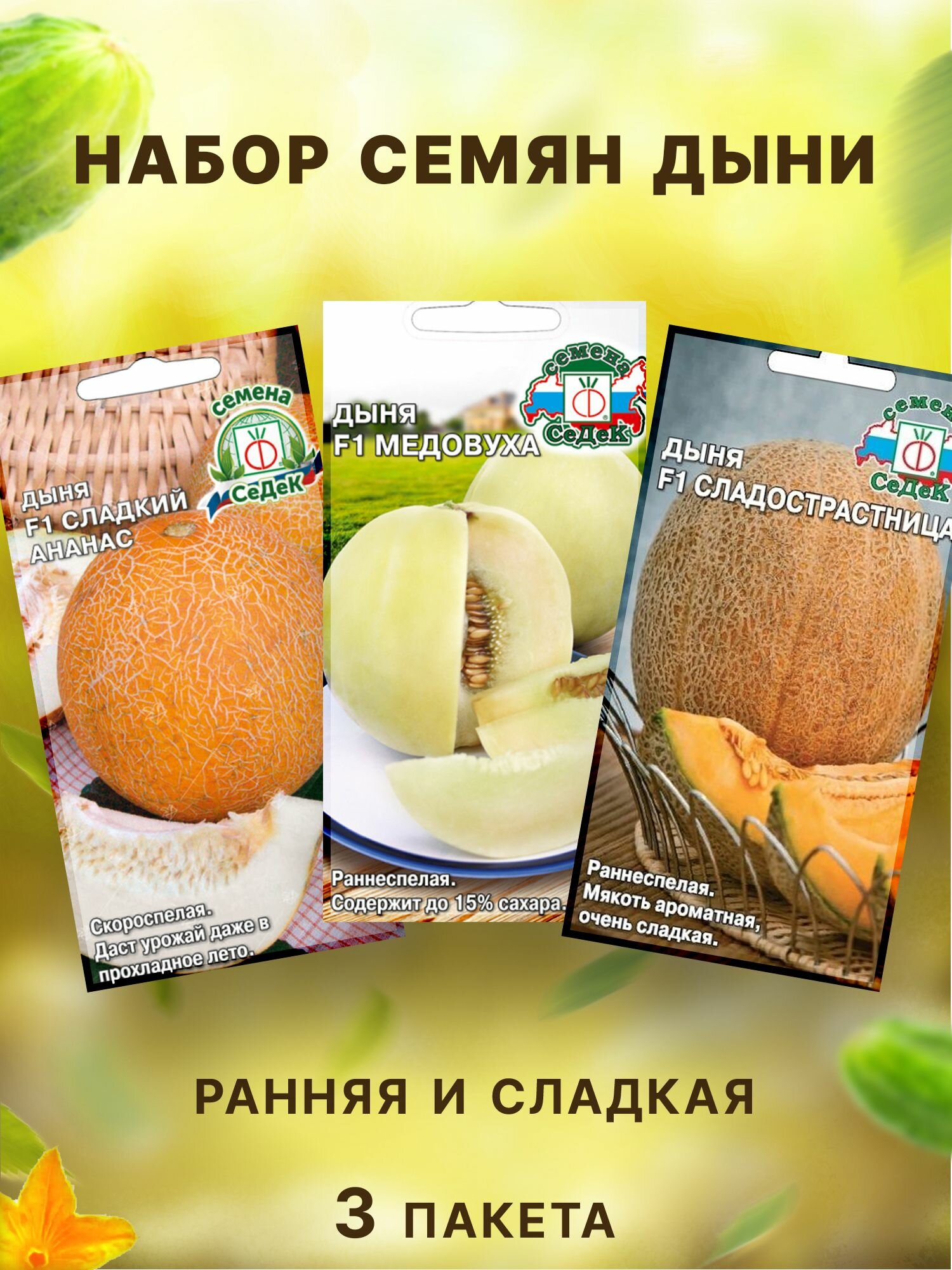 Дыня 