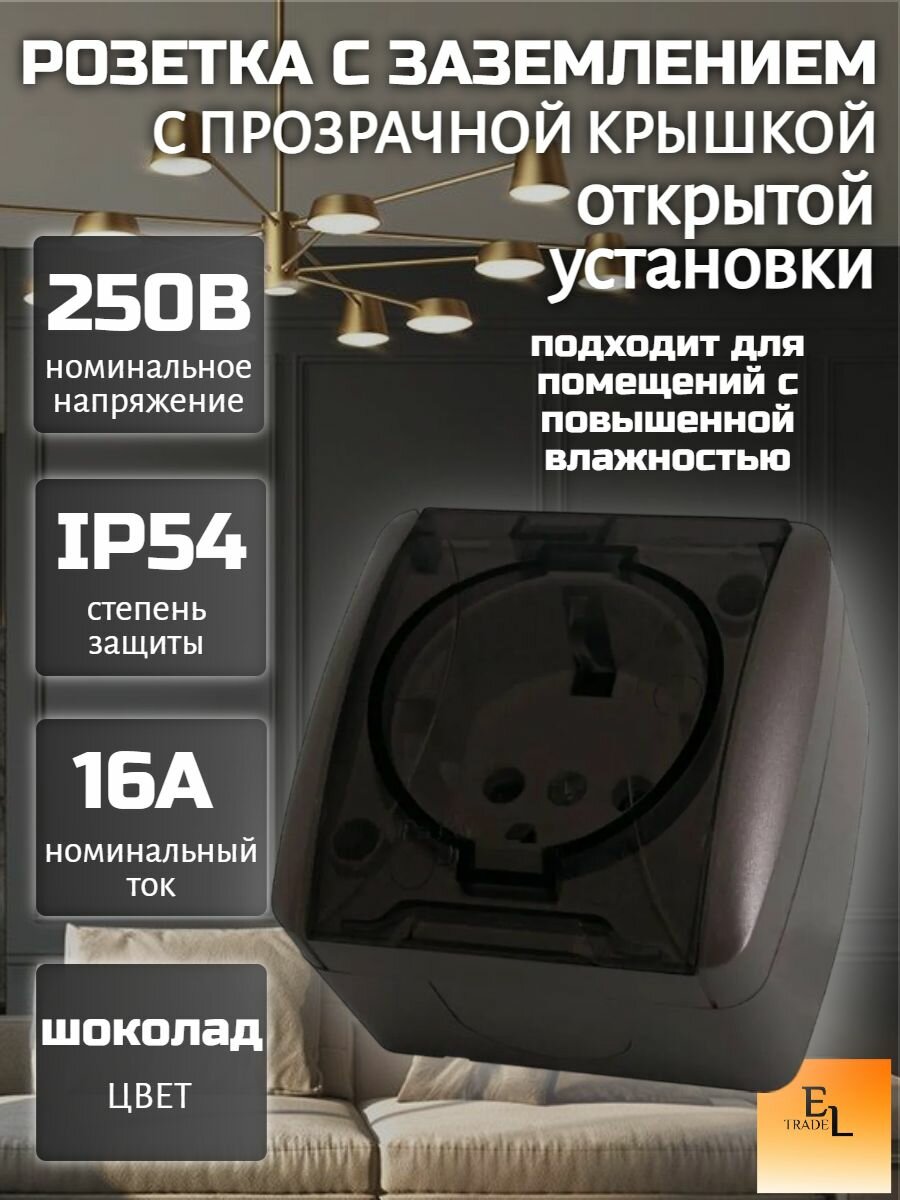 Розетка открытой установки 2П, с заземлением, с прозрачной крышкой, 16А, шоколад, IP54, Селигер