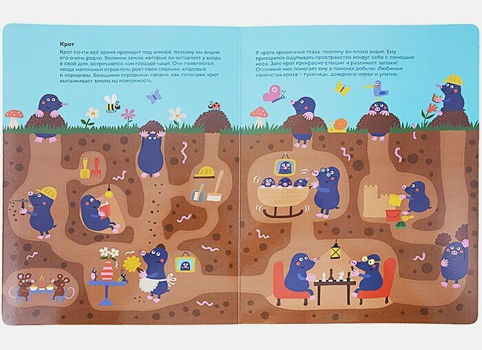 Кто живет под землей. Виммельбух — фото 1