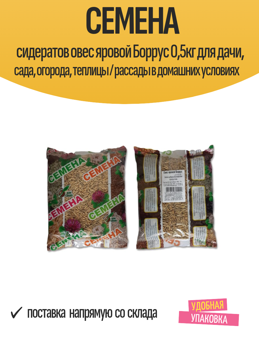 Семена сидератов овес яровой Боррус 05кг для дачи сада огорода теплицы / рассады в домашних условиях
