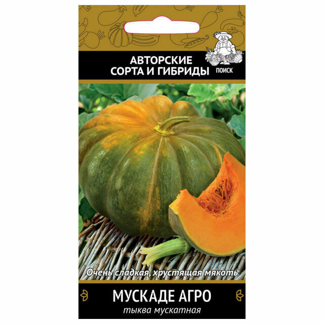 Семена тыква мускатная Мускадэ Агро поиск 10шт