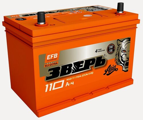 Изображение товара Аккумулятор автомобильный Зверь EFB Asia 110 А/ч 950 А прям. пол. 125D31R Азия авто (305x175x221) ZVEFBA 110-3-L с бортиком