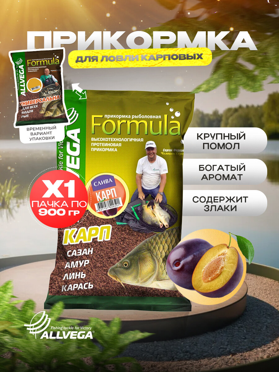 Прикормка для рыбалки ALLVEGA Formula Карп Слива 1 пачка 0.9кг