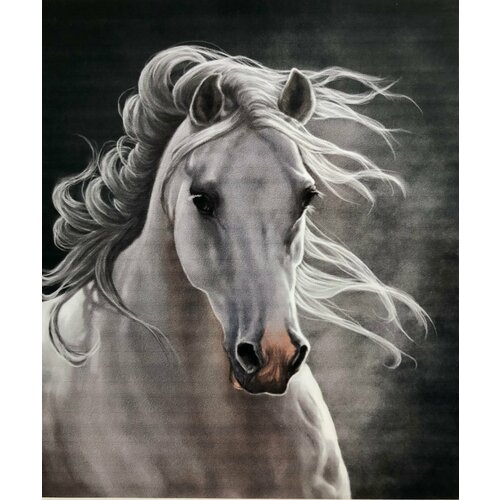 Алмазная мозаика 40*50 круглые стразы полная выкладка «Белогривая красавица»