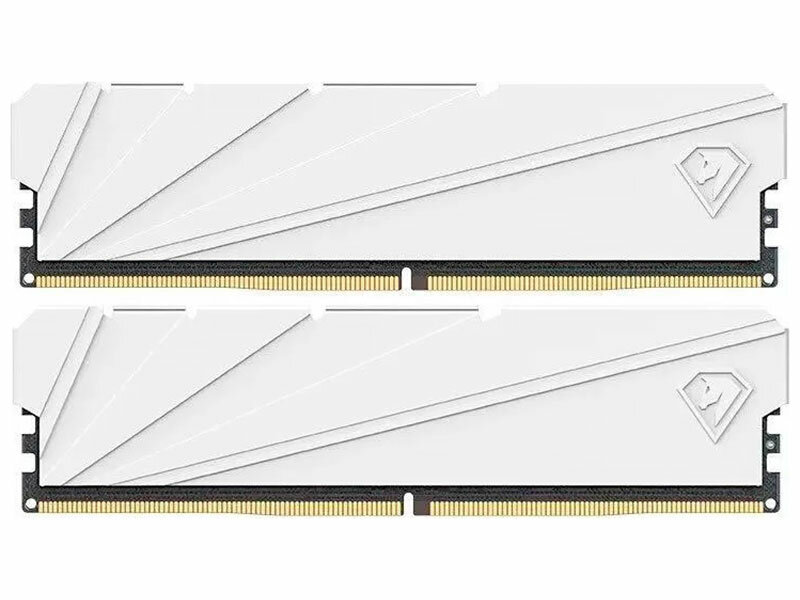 Оперативная память Netac DDR4 16Gb (2x8Gb) 3200MHz Shadow S White (NTSSD4P32DP-16W)