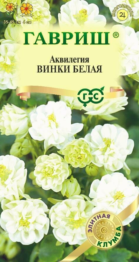 Семена Аквилегия Винки белая обыкновенная 5шт Мн 45см (Гавриш) Элитная клумба