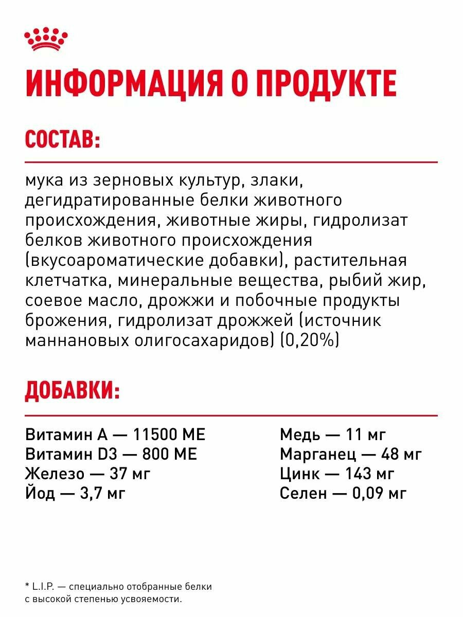 Сухой корм Royal Canin Medium Adult для взрослых собак средних пород 3 кг — фото 1