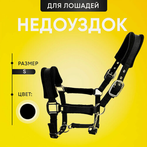 Изображение товара Уздечка, недоуздок для лошадей. Оборудование для верховой езды, скачек. Цвет черный. Размер S.