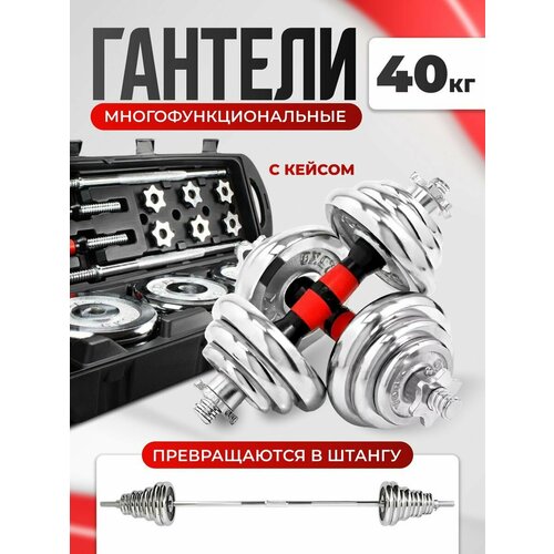LEGENDFIT Гантели разборные и штанга в кейсе для спорта 40 кг