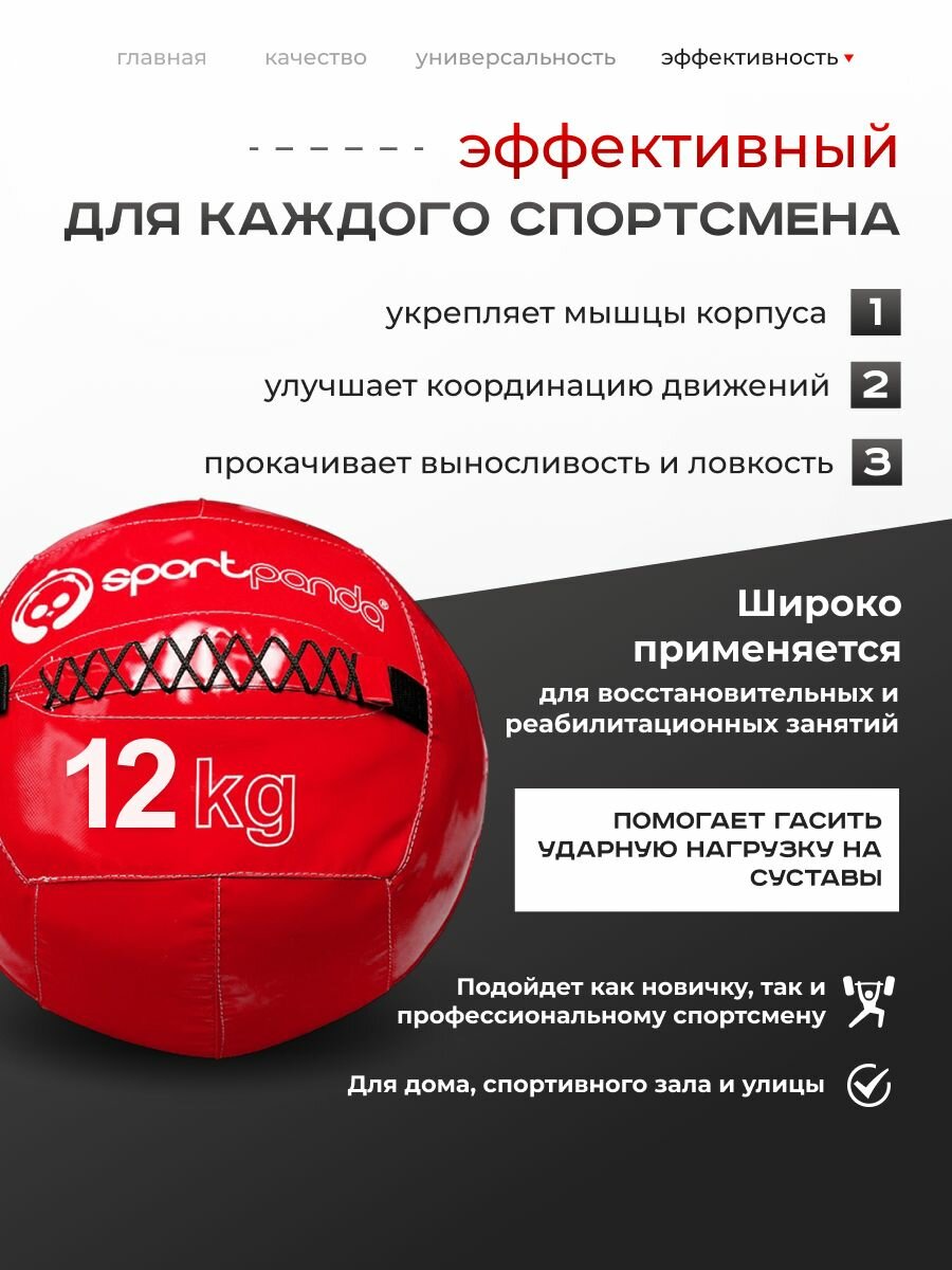 Медбол SportPanda, ПВХ, диаметр 38 см, 12 кг, армированные швы — фото 1