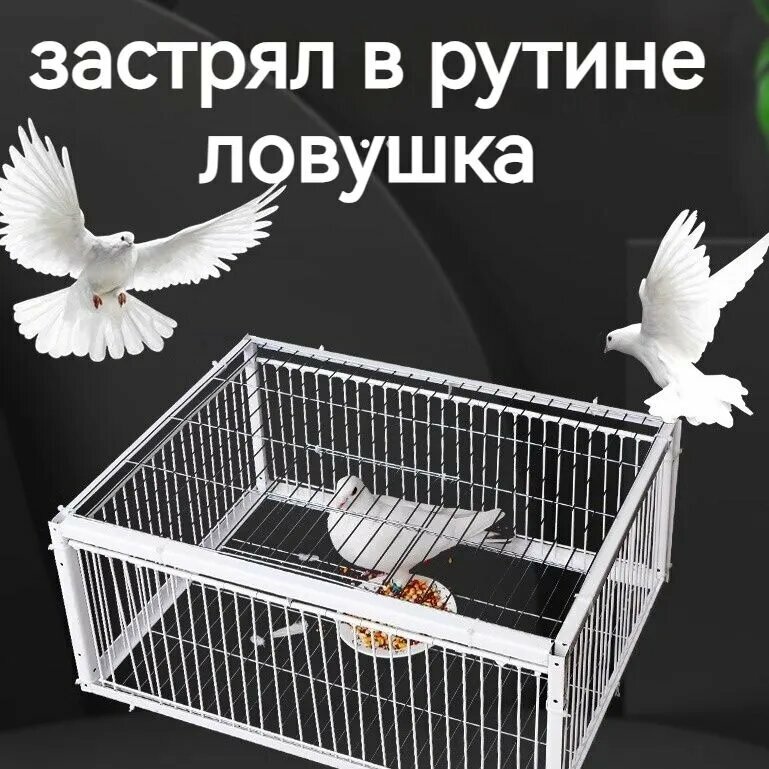 Клетка-ловушка для голубей 600X400X260mm-белый, прозрачный, бежевый