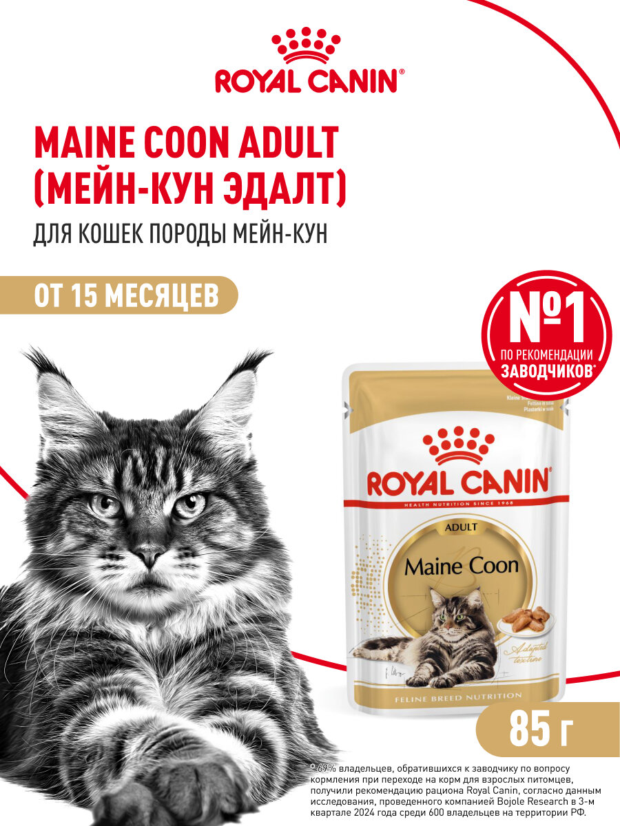 Влажный корм для кошек Royal Canin Adult для породы мейн кун кусочки в соусе, 28 шт по 85 г — фото 1