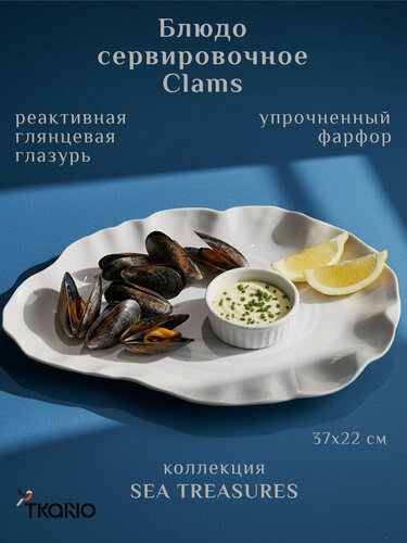 Изображение товара Блюдо сервировочное Clams овальное для подачи серого цвета Sea treasures фарфоровое Tkano TK25-TW_SRV0006