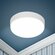 Светильник потолочный накладной ЭРА LED 15-18-4K светодиодный точ...