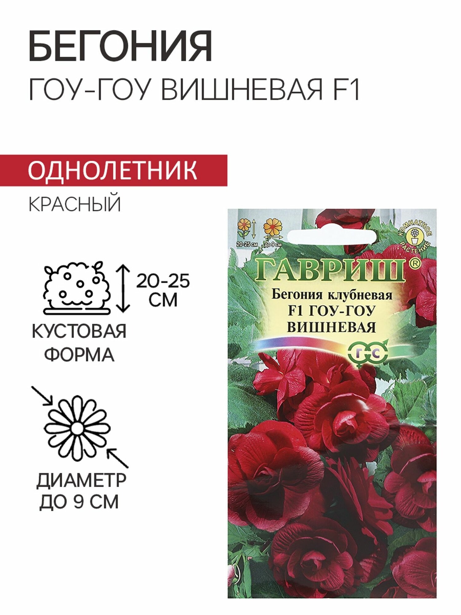 Семена комнатных цветов Бегония 