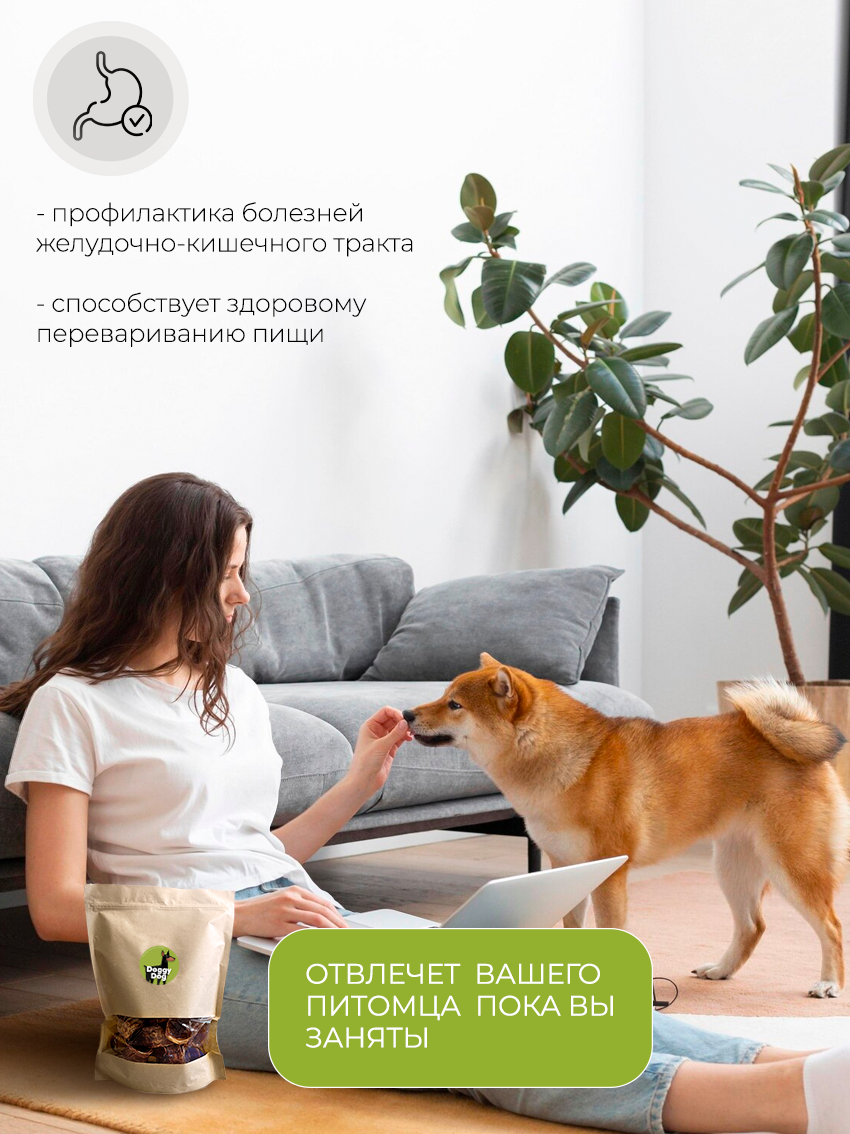 Лакомство для собак DOGGYDOG говяжья трахея, для дрессировки и поощрения, дой-пак, 100 г. — фото 1