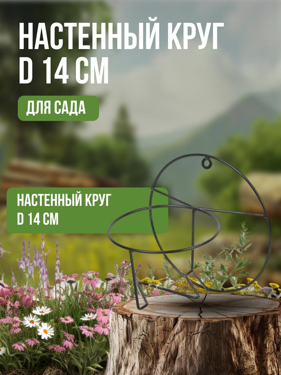 Настенный держатель Limerence Group, для кашпо, металл, 14 см, черный