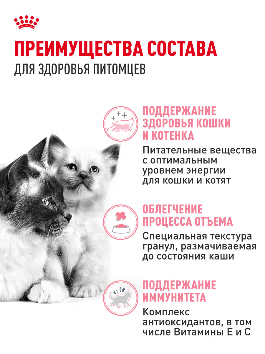 Сухой корм для котят, беременных и кормящих кошек Royal Canin Mother&Babycat, 4 кг — фото 1