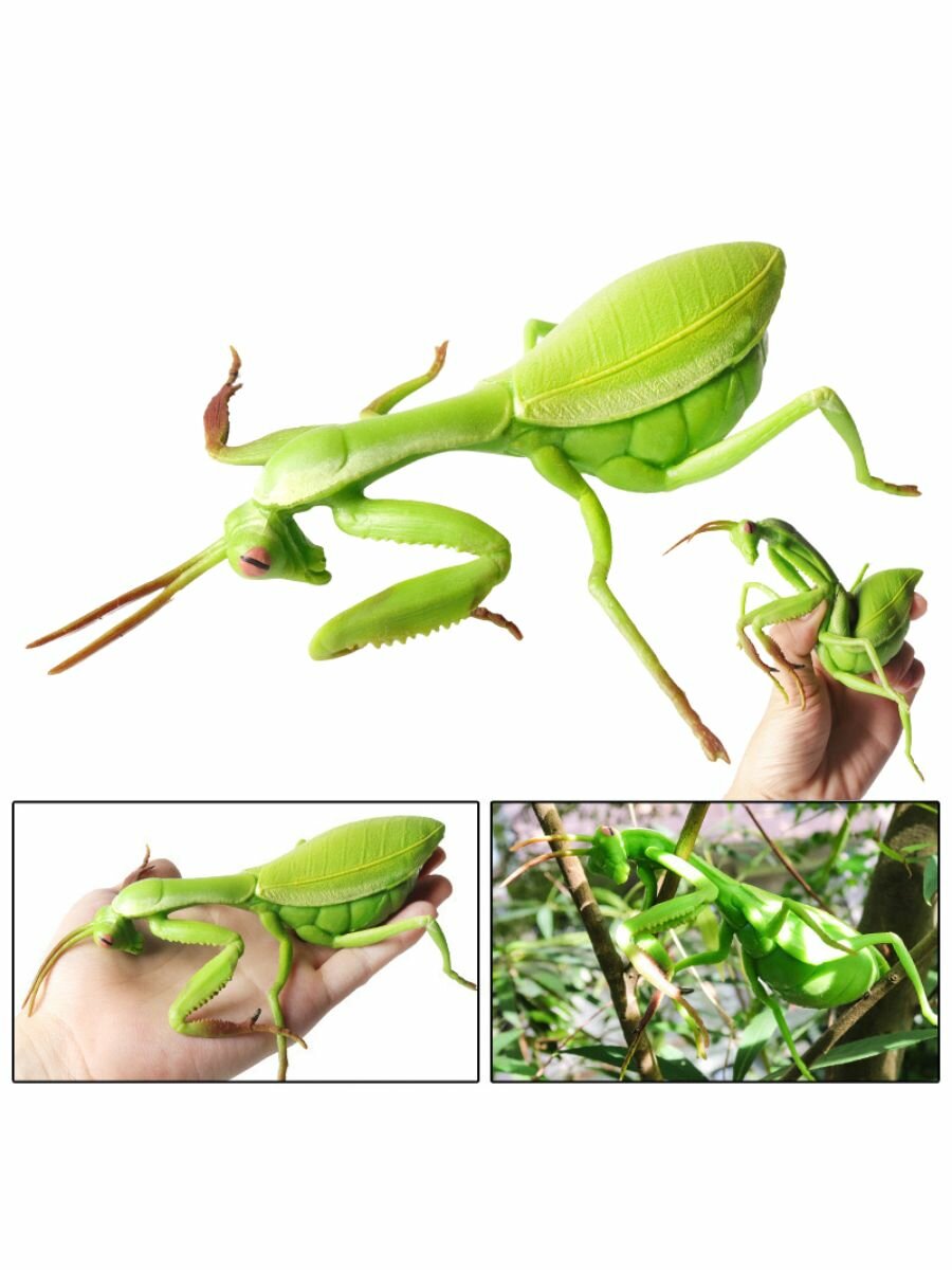 Игрушка тянучка Богомол / Тянучка антистресс — фото 1