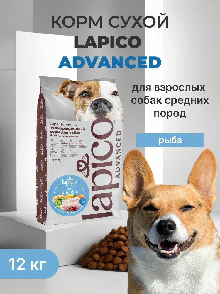 Корм сухой низкогликемический "Lapico" Advanced (Лапико), для собак средних пород, рыба, 12кг