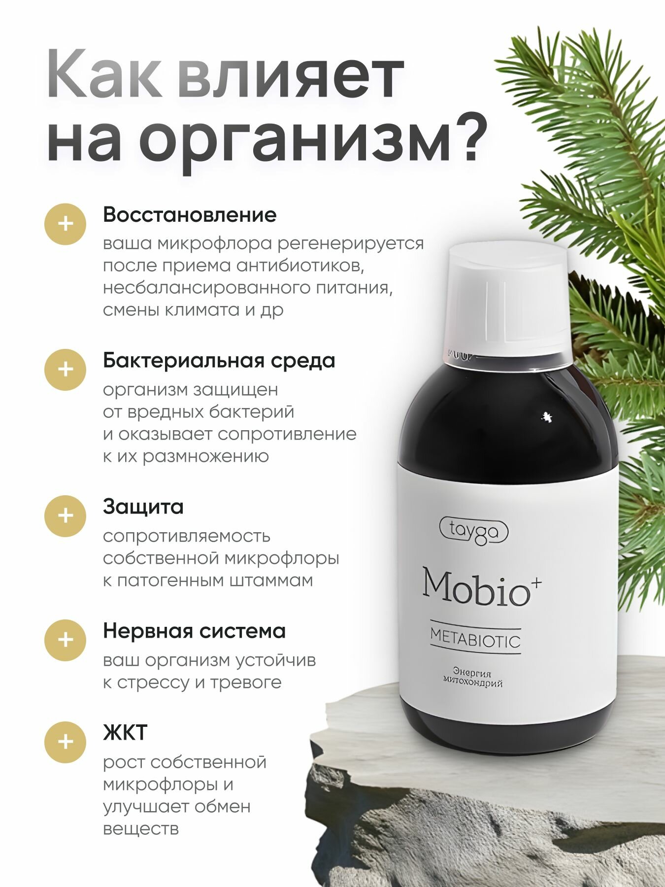 T8 MOBIO+ VILAVI/Метабиотик для нормализации работы кишечника/Мобио Вилави Тайга 8 — фото 1