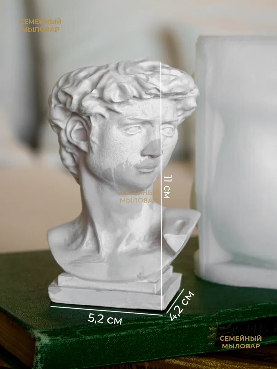 Силиконовый молд для гипса / кашпо голова Давида — фото 1