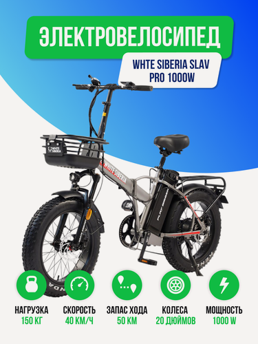 Изображение товара Электровелосипед WHITE SIBERIA SLAV PRO 1000W 48V/13A Silver Winter (Серебро)