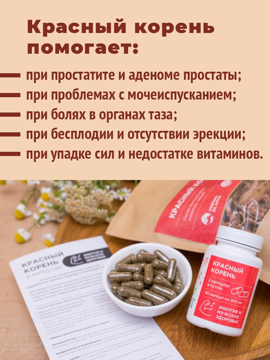 Картинки Красный корень в капсулах, витаминный комплекс для мужчин, для потенции, либидо, при простатите 60 капсул, Алтайвита