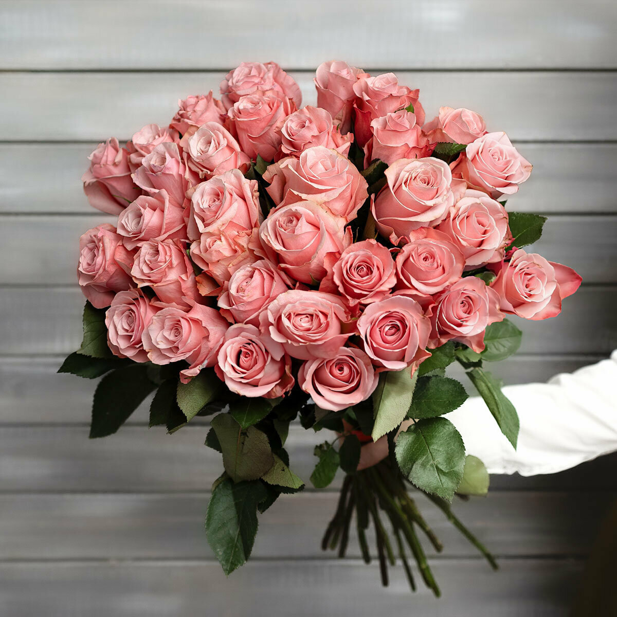 33 розовые розы Эквадор высота 50 см монобукет от Букет Маркет