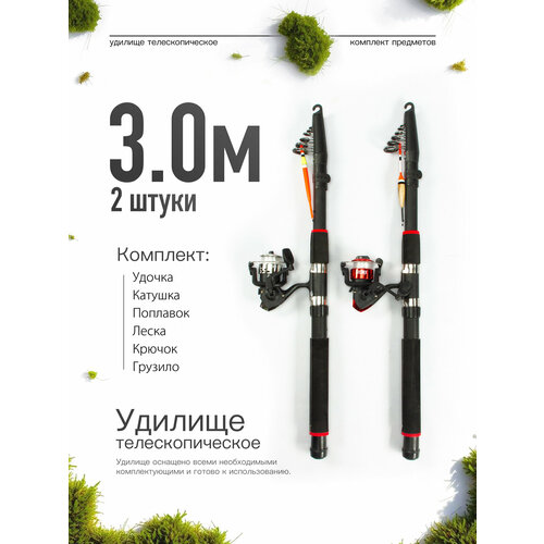Удилище телескопическое в сборе (катушка + леска + поплавок + грузило) 3,0 метра, комплект 2 шт.