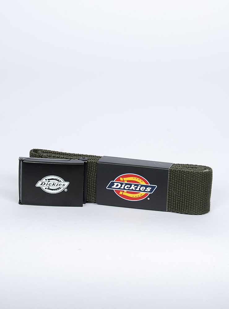 Ремень Dickies для взрослых и детей, размер 120, зеленый — фото 1