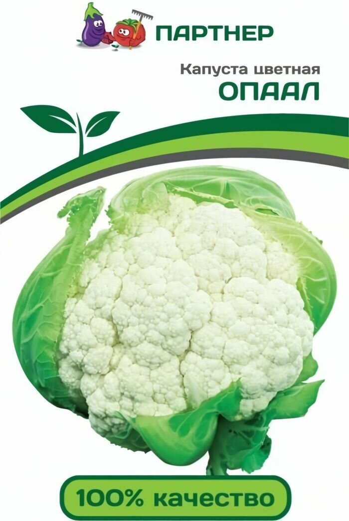 Капуста цветная Опаал