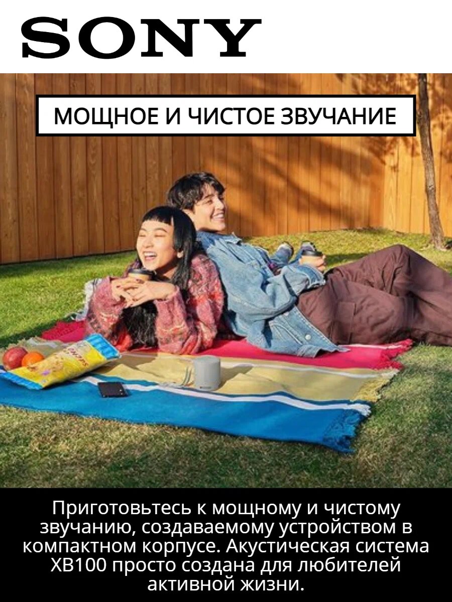 Беспроводная колонка Sony SRS-XB100, влагозащищенная, серая. Оригинал — фото 1