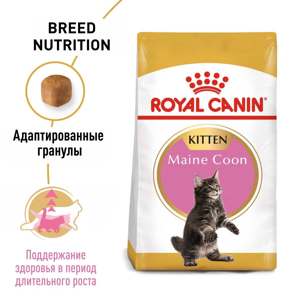 Royal Canin Maine Coon Kitten сухой корм для котят породы мейн-кун - 400 г