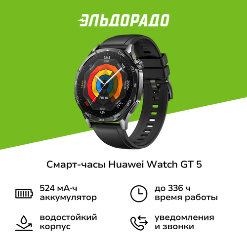 Смарт-часы HUAWEI Watch GT 5 46mm Black 17999₽