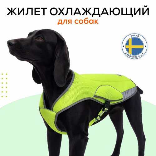 Жилет охлаждающий для собак мелких и средних пород