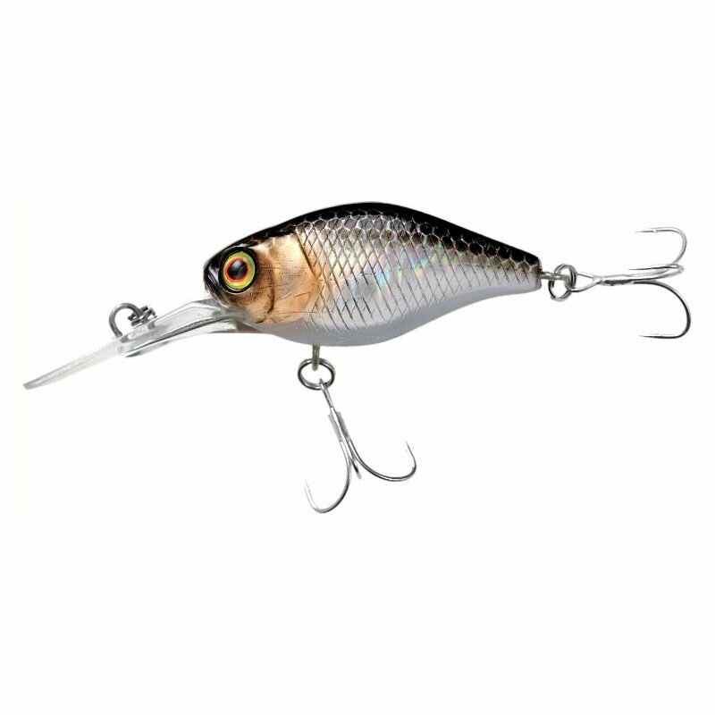 Skwal スクォール 165cm Skwal スクォール 165cm Skwal スクォール