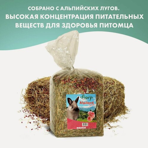 Изображение товара FIORY сено для грызунов Альпийское Alpiland Rose с розой 500 г