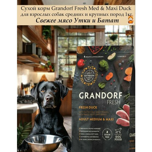 Grandorf Fresh Dog Medium&Maxi Duck корм для собак средних и крупных пород, утка с бататом 1кг