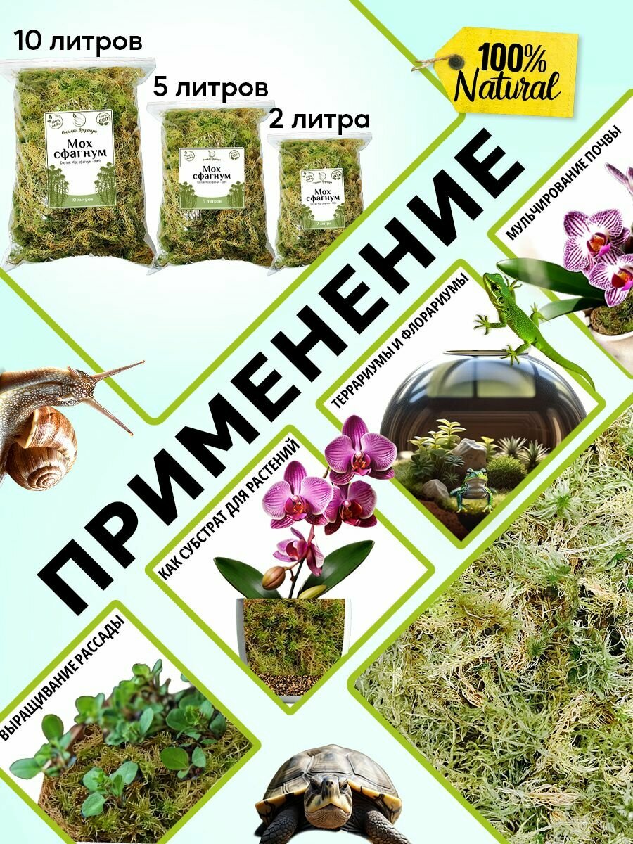 Мох сфагнум для орхидей и террариумов, 2 литра — фото 1