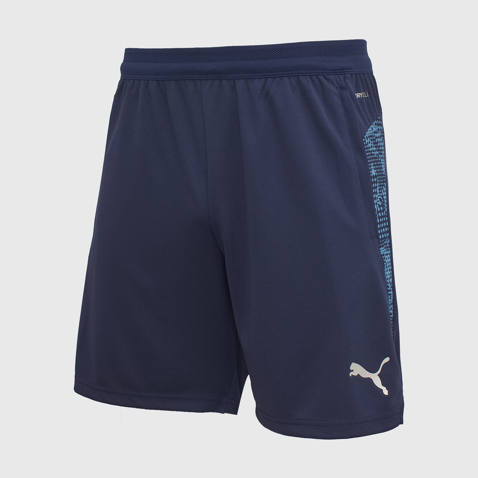 Шорты спортивные PUMA Teamcup
