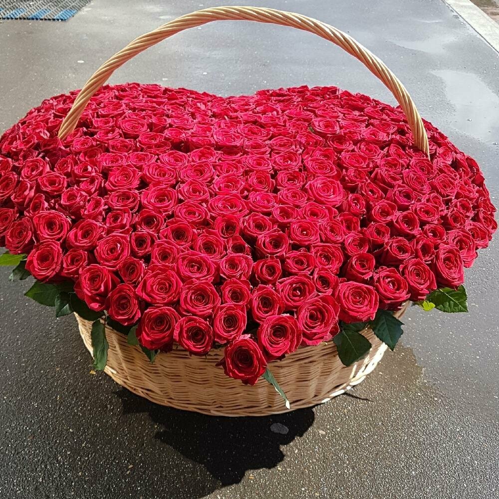 Из живых цветов 301 Роза в корзине