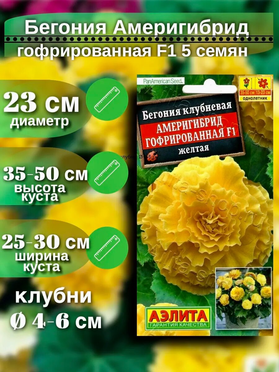 Семена бегонии Америгибрид гофрированная F1 5 шт. 1 уп.