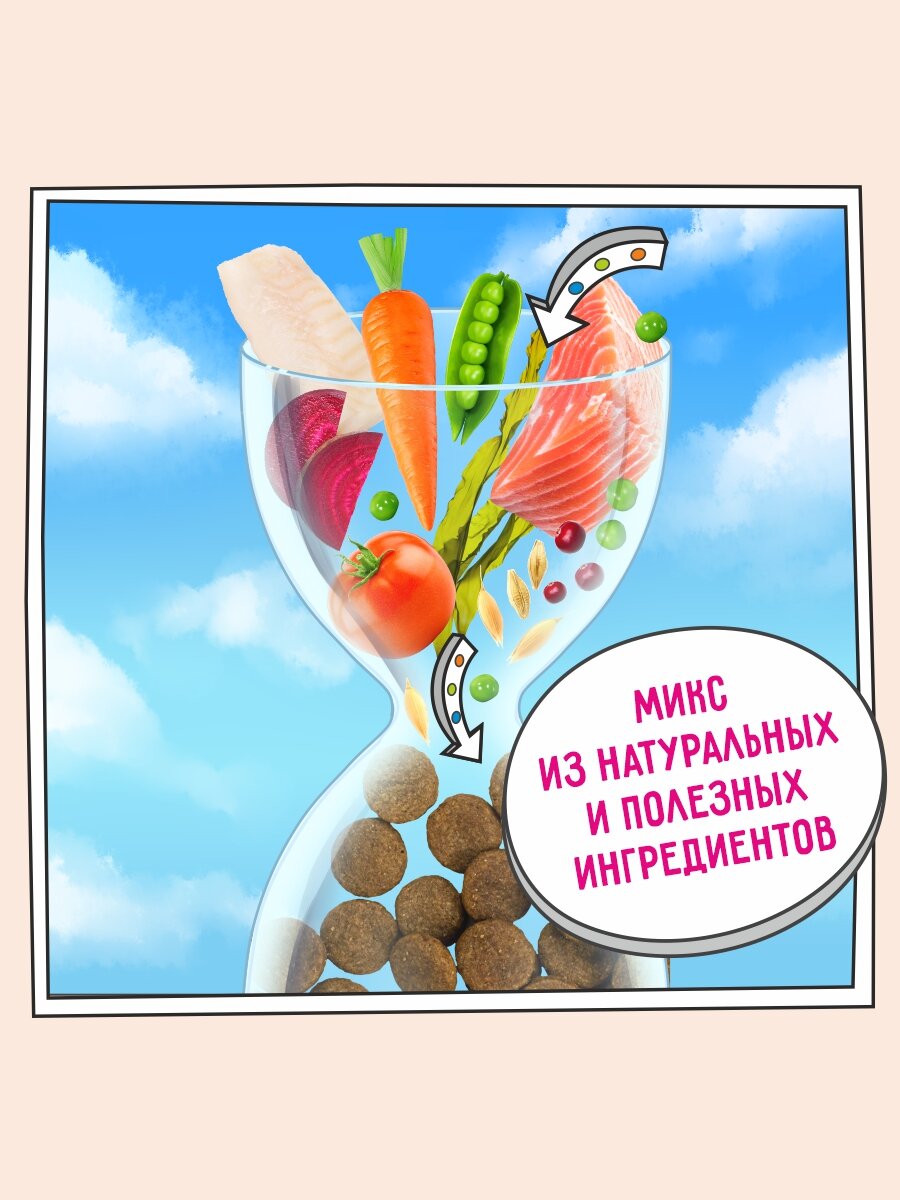 Корм для собак сухой 3 кг, гипоаллергенный ZILLII (Зилли), Белая Рыба с Лососем — фото 1