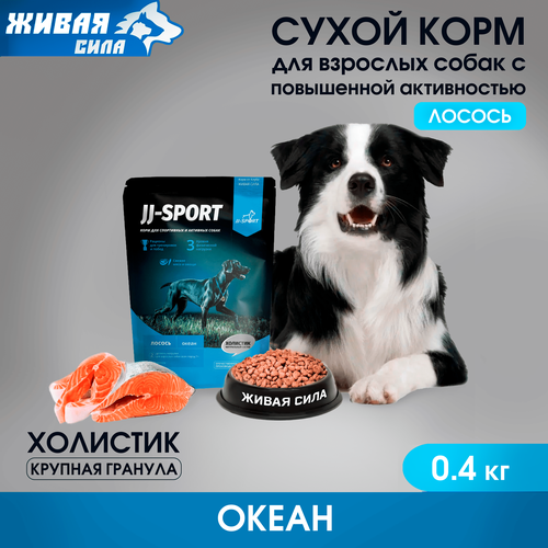 Живая Сила. Сухой корм для взрослых собак "Океан" с рыбой, крупная гранула, 0,4 кг